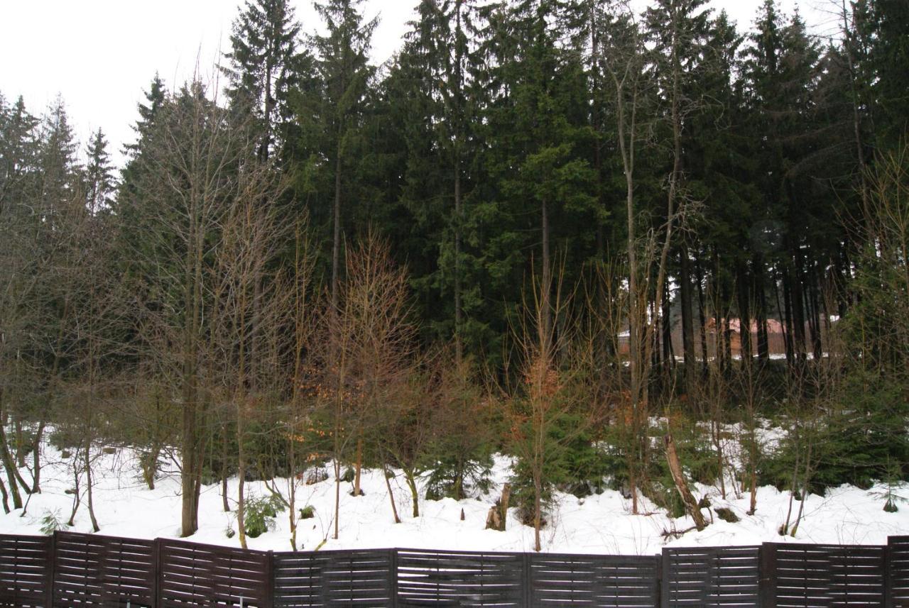 Fewo Adler 2-6 Personen Braunlage Exteriér fotografie
